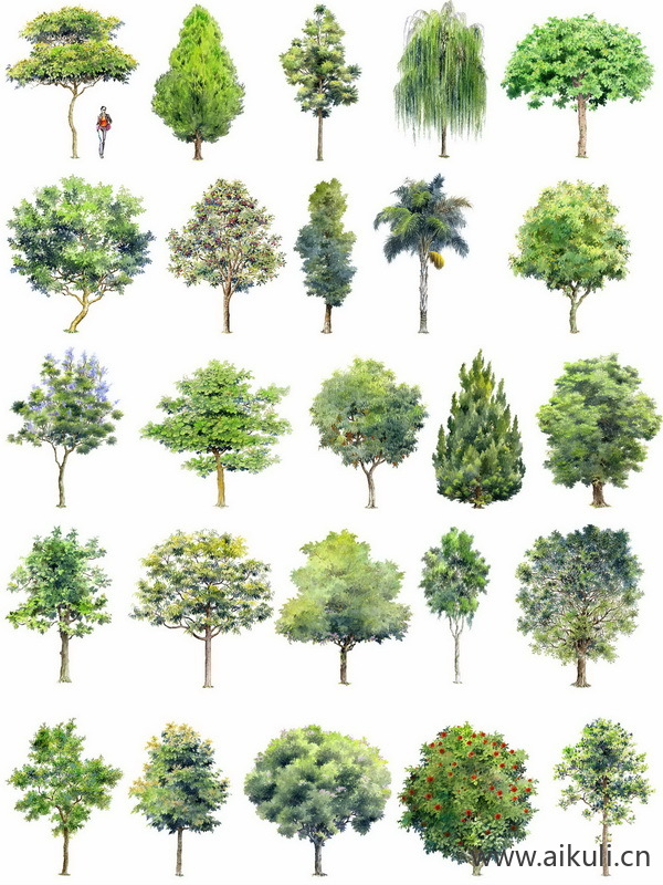 手绘立面景观筑景植物Y-PSD免扣