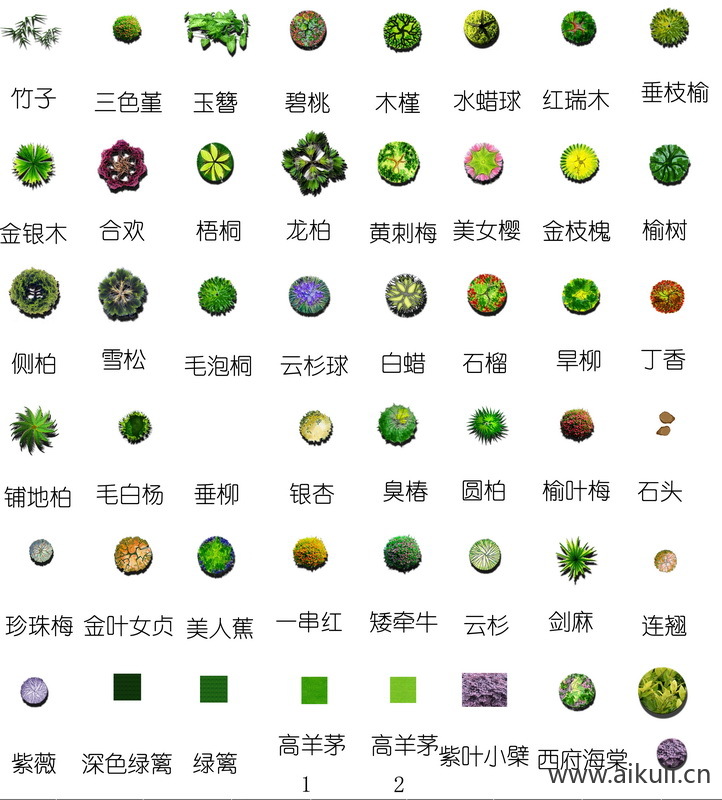园林平面素材BA-PSD免扣