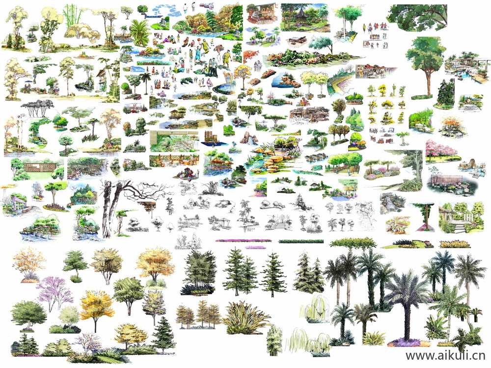 手绘立面景观筑景植物B-PSD免扣