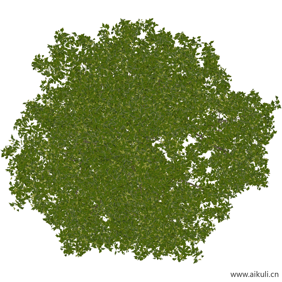 桂花 (PNG免扣)
