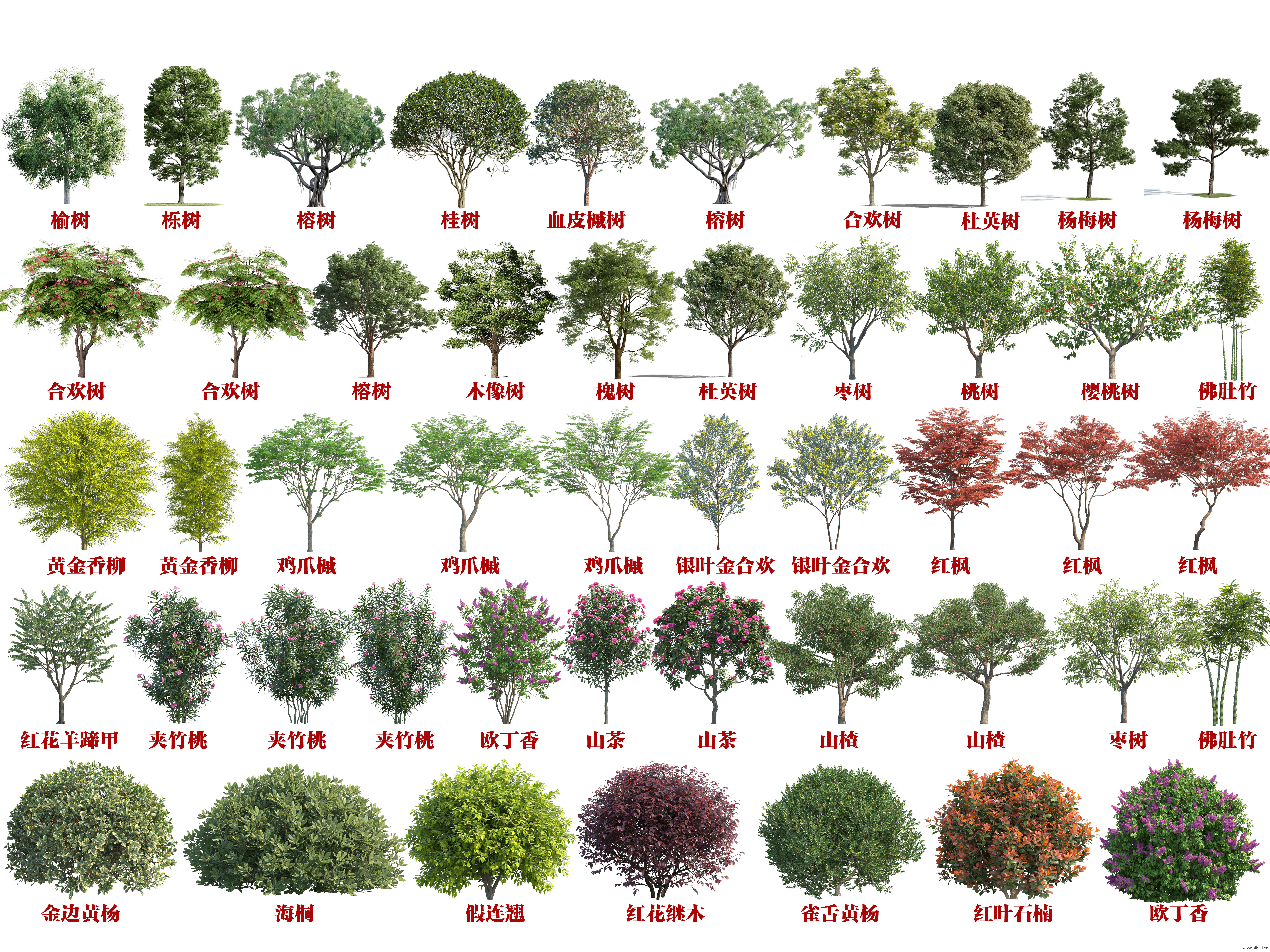 免抠乔木灌木植物贴图  