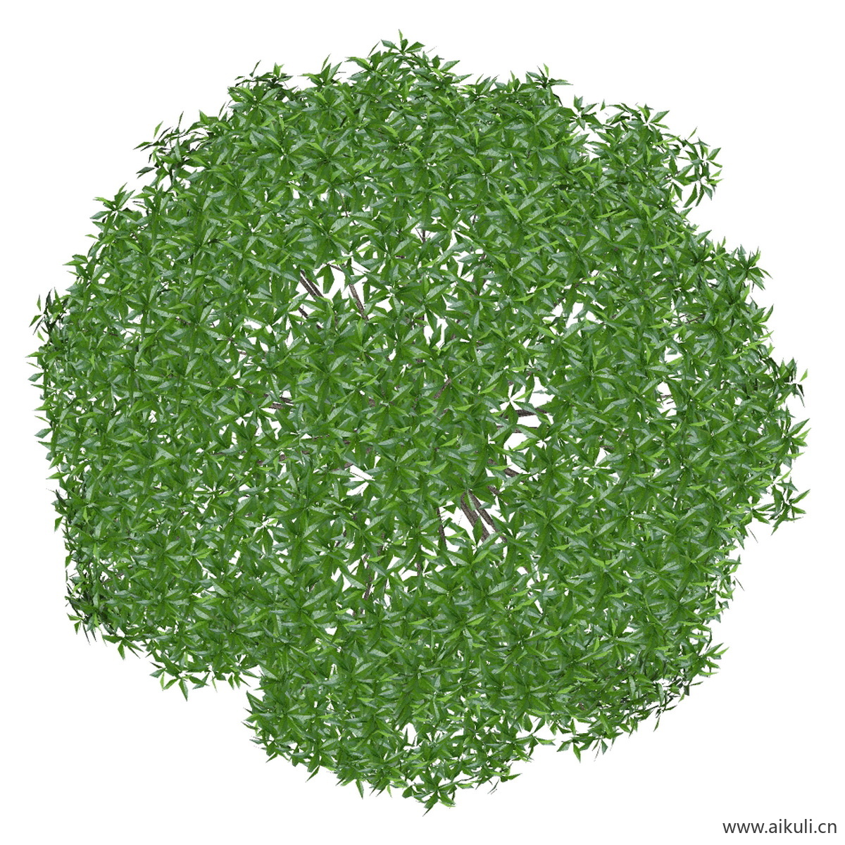 桂花小PNG免扣