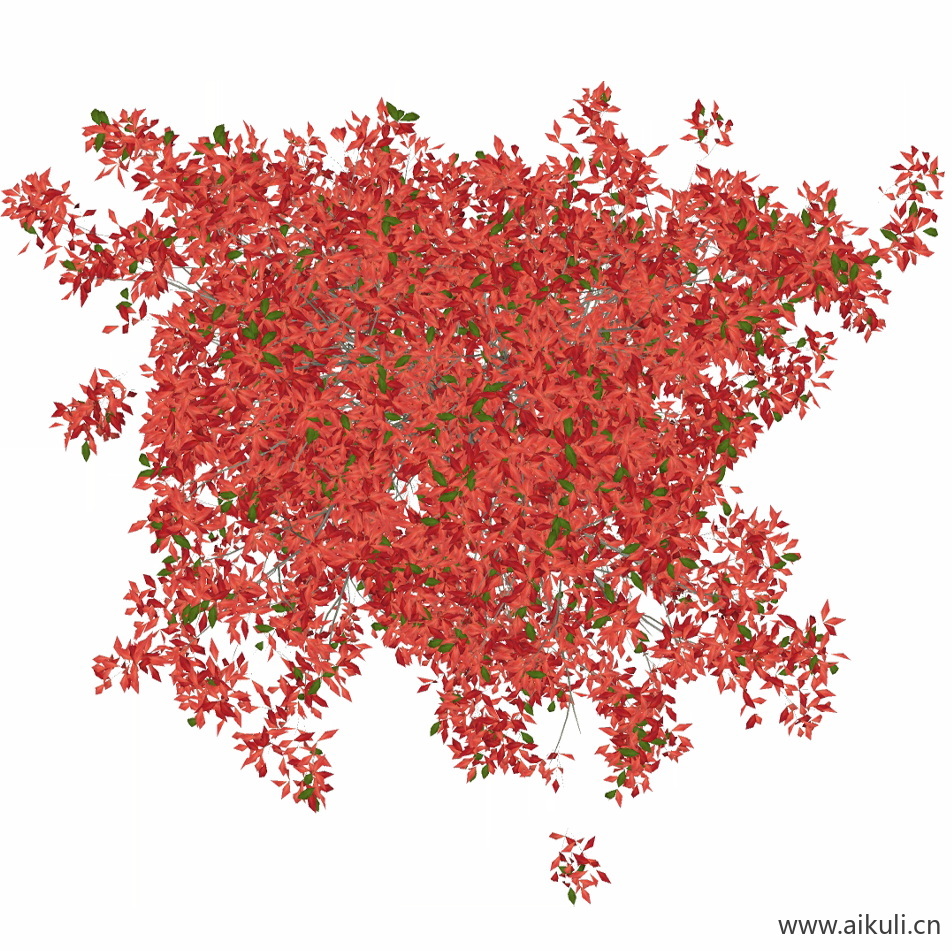 火焰卫矛_PNG免扣-PNG免扣