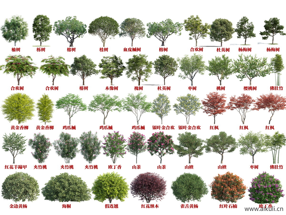 免抠乔木灌木植物贴图  