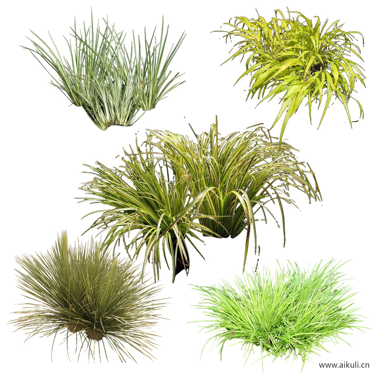 庭院花园花卉花草园林花境植物景观造景组合小品K-psd免抠