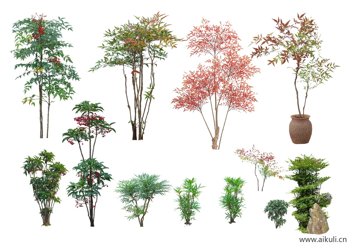 庭院花园花卉花草园林花境植物景观造景组合小品psd免抠