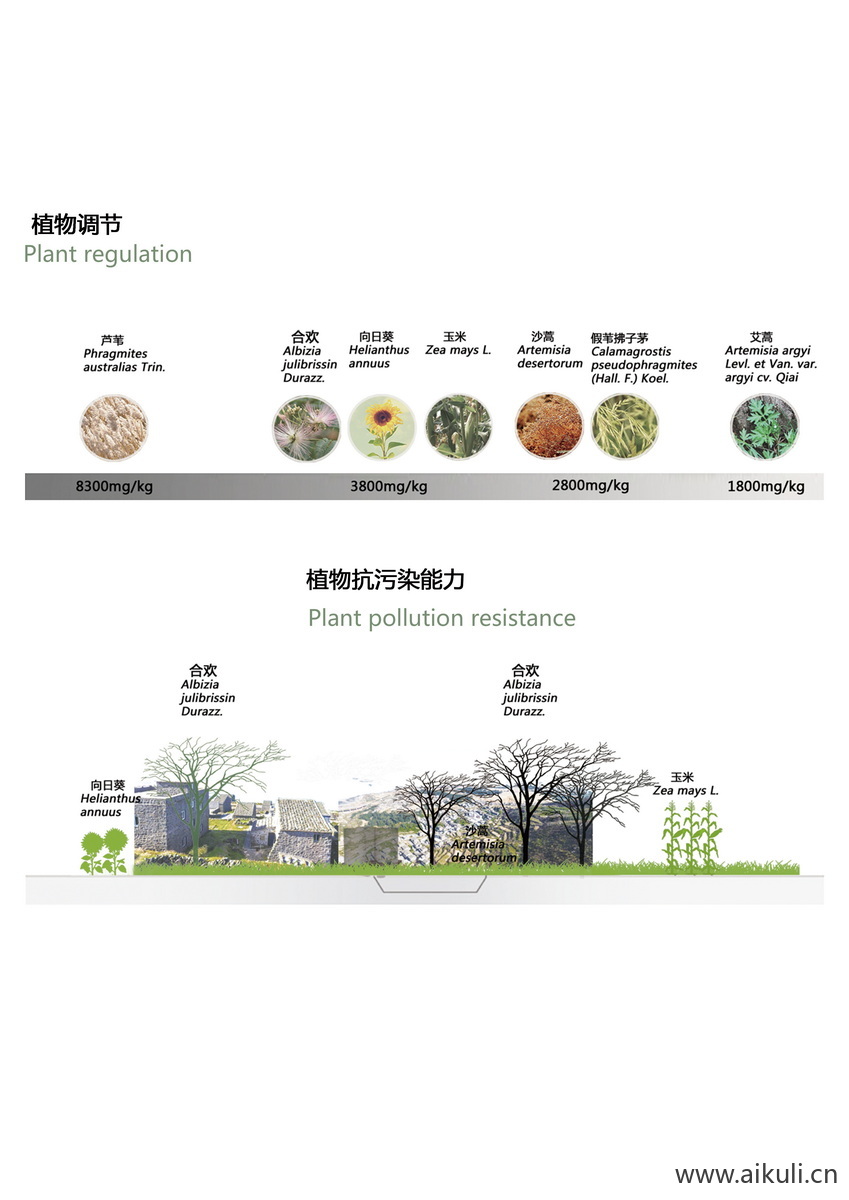 景观植物生态调节分析图