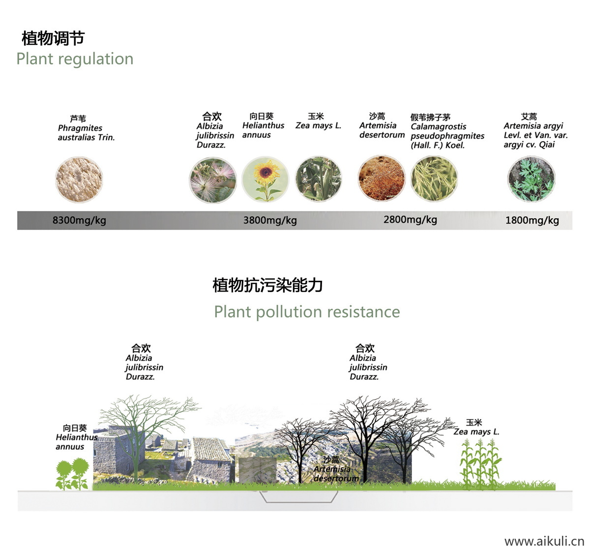 景观植物生态调节分析图