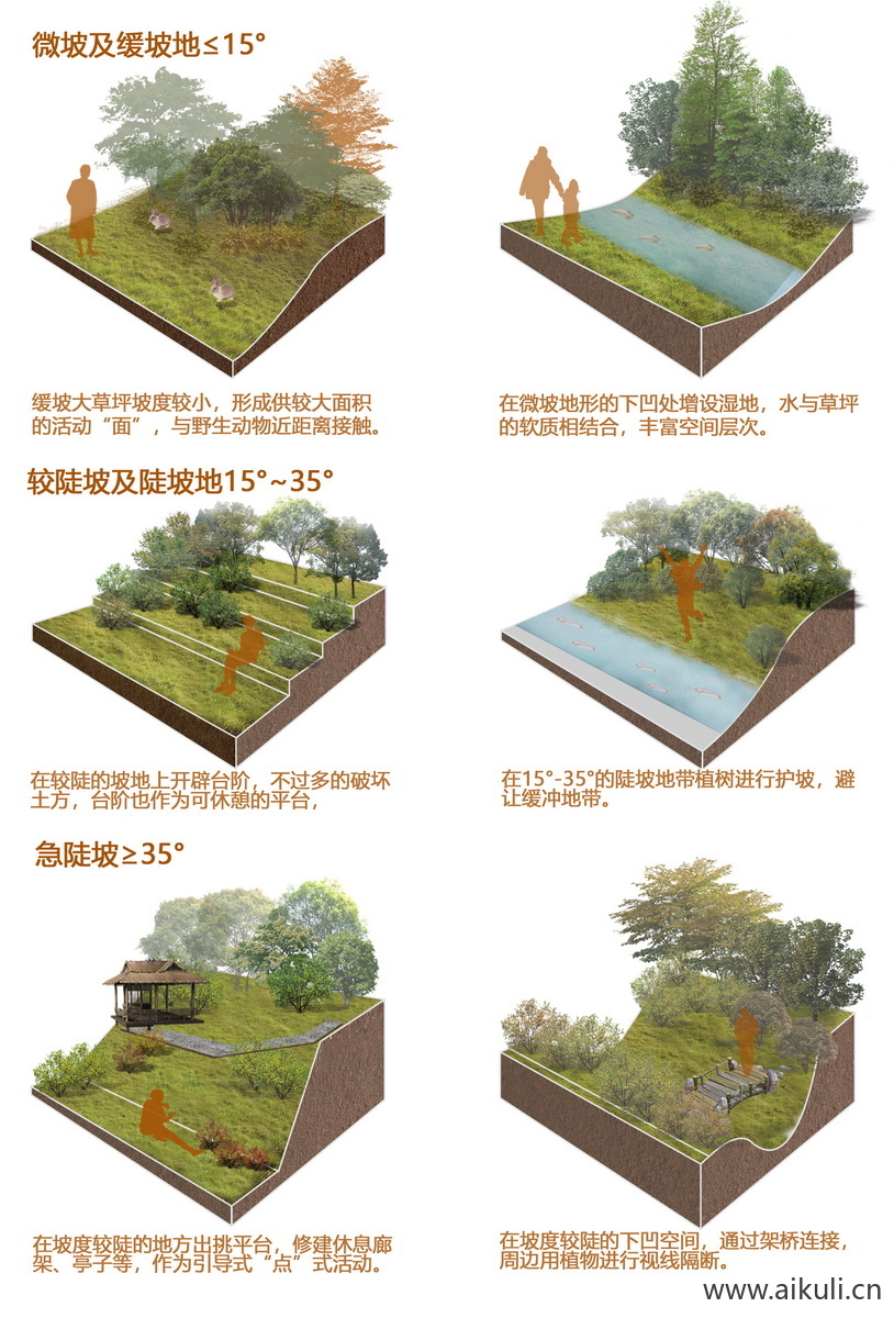 植物修复生态策略分析图PSD