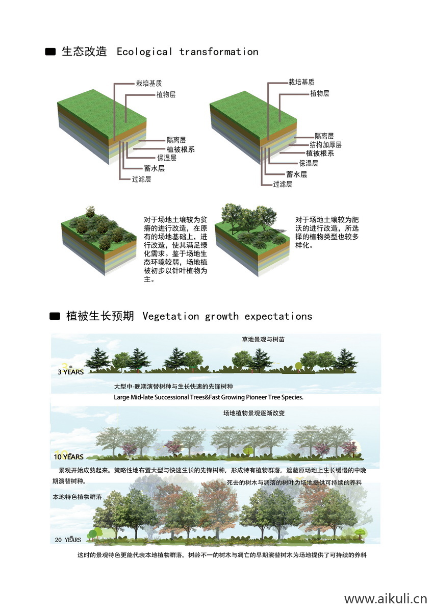 生态策略生态策略分析图PSD分层
