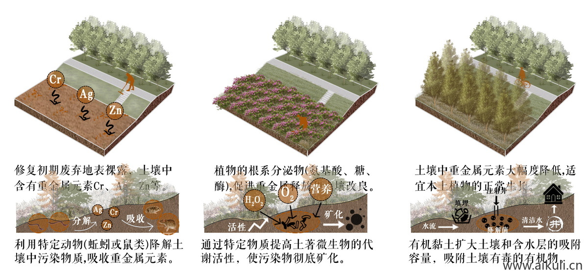 土壤修复生态策略分析图PSD分层