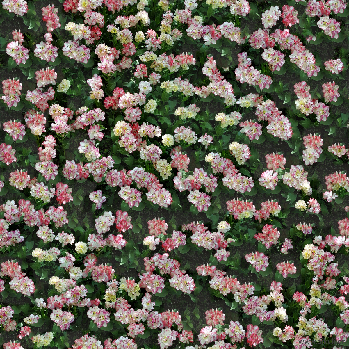 地被花卉绿篱花丛植被花海贴图