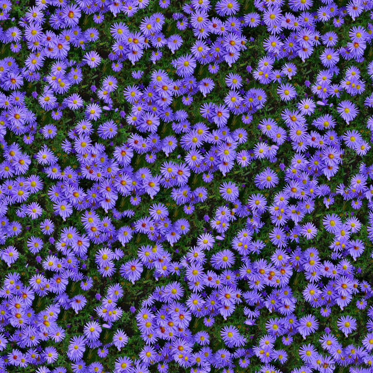 园林灌木地被花卉绿篱花丛植被花海M贴图