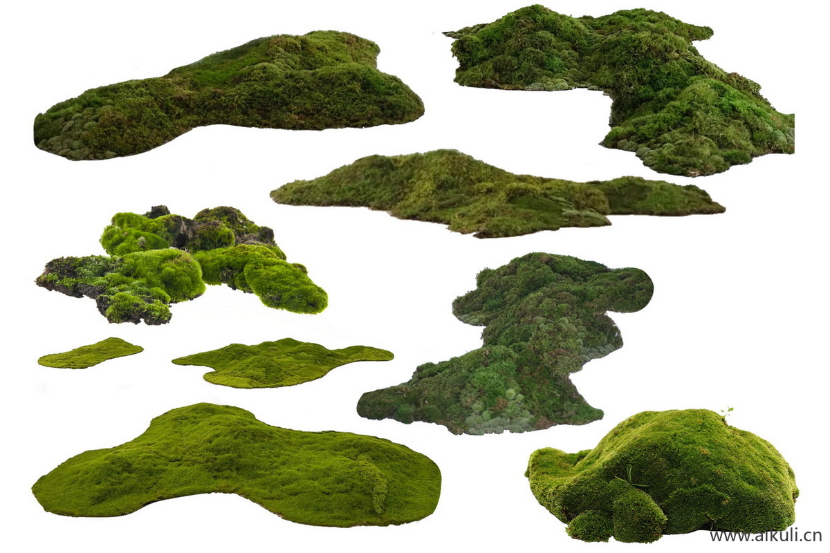 苔藓植物庭院室内景观庭院室内景观青苔FPS素材微景观盆景psd