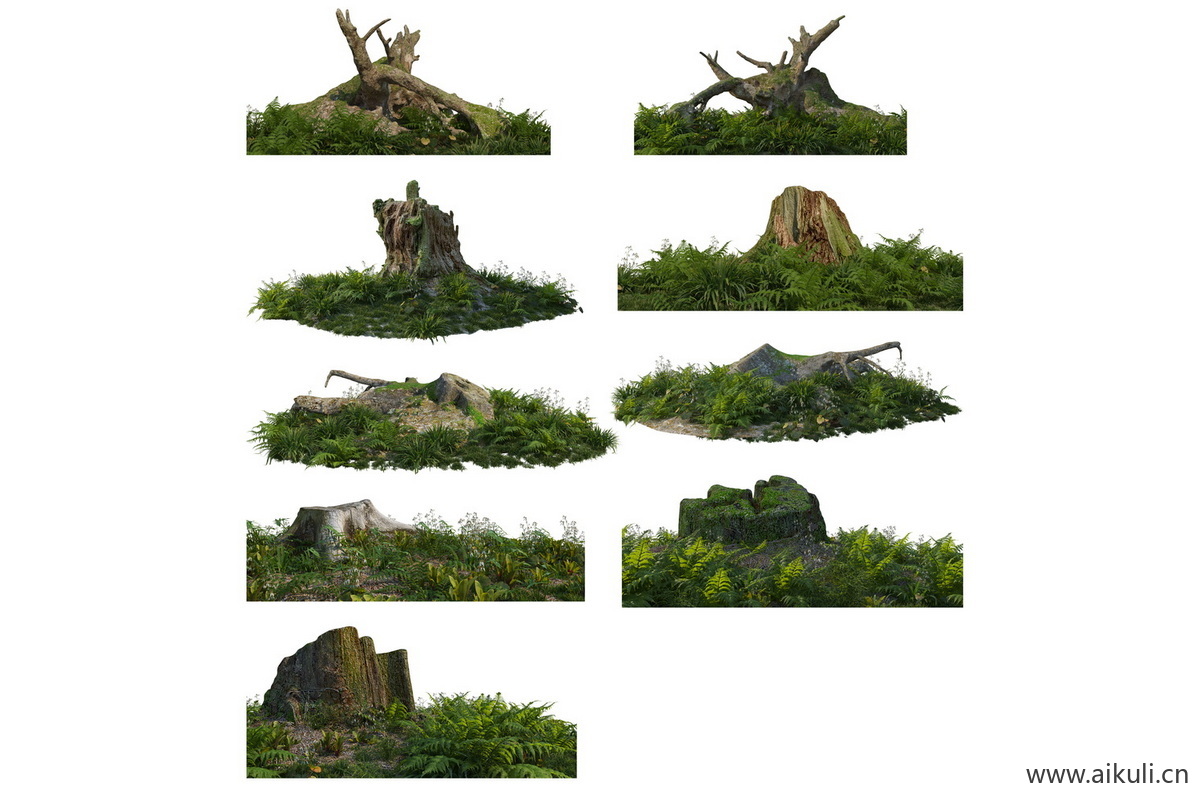 苔藓植物庭院室内景观青苔ps