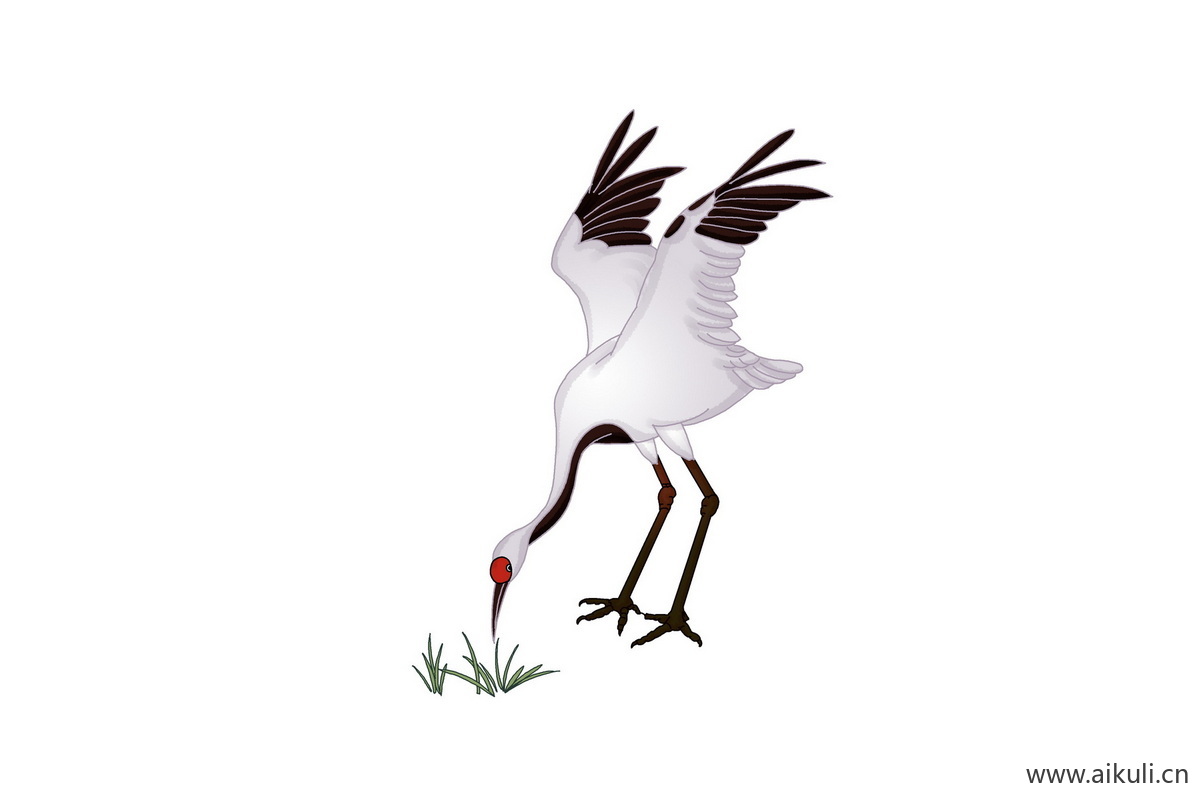 仙鹤动物J国潮元素插画PS素材