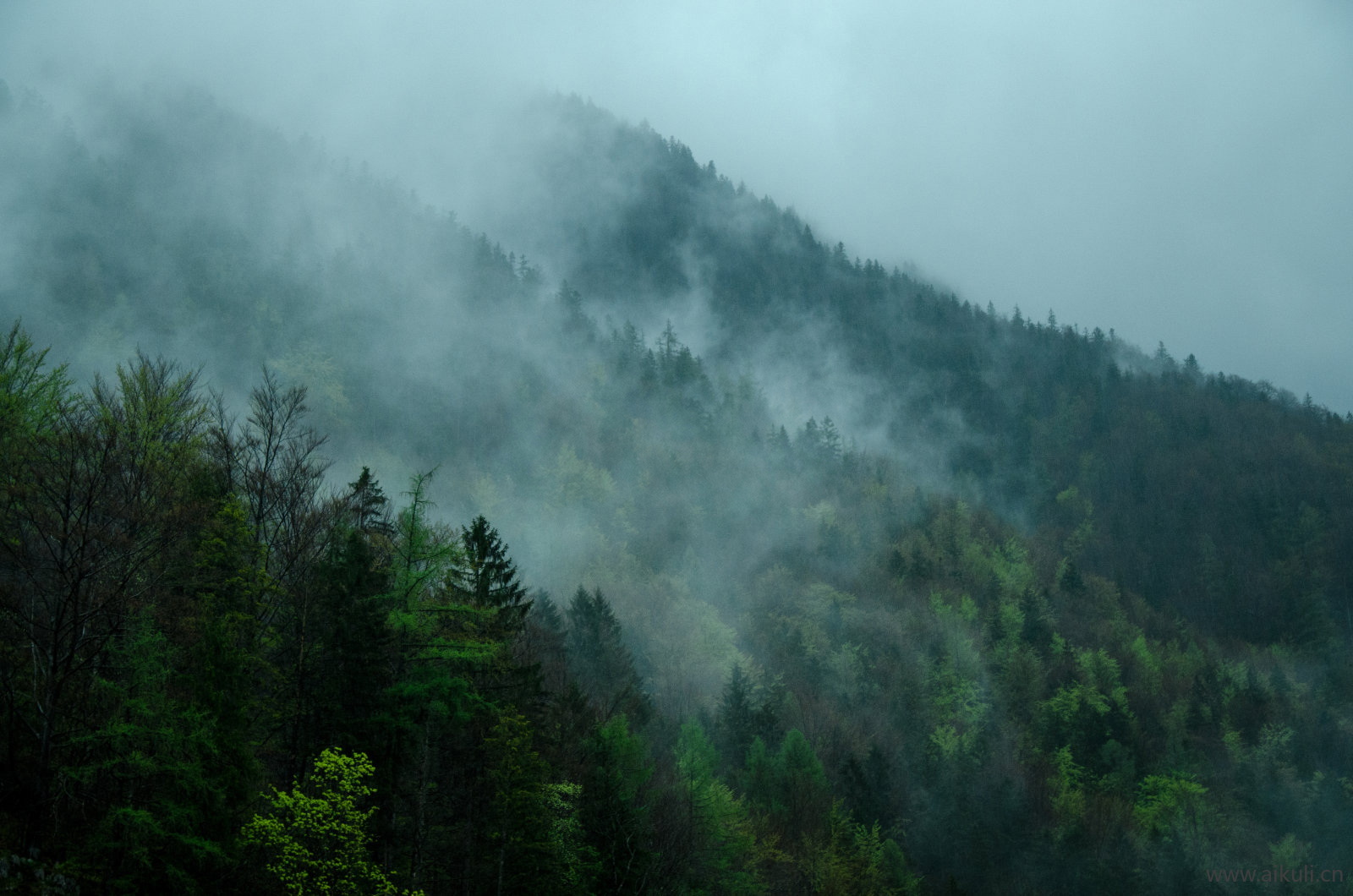 山水景观Q自然风景贴图