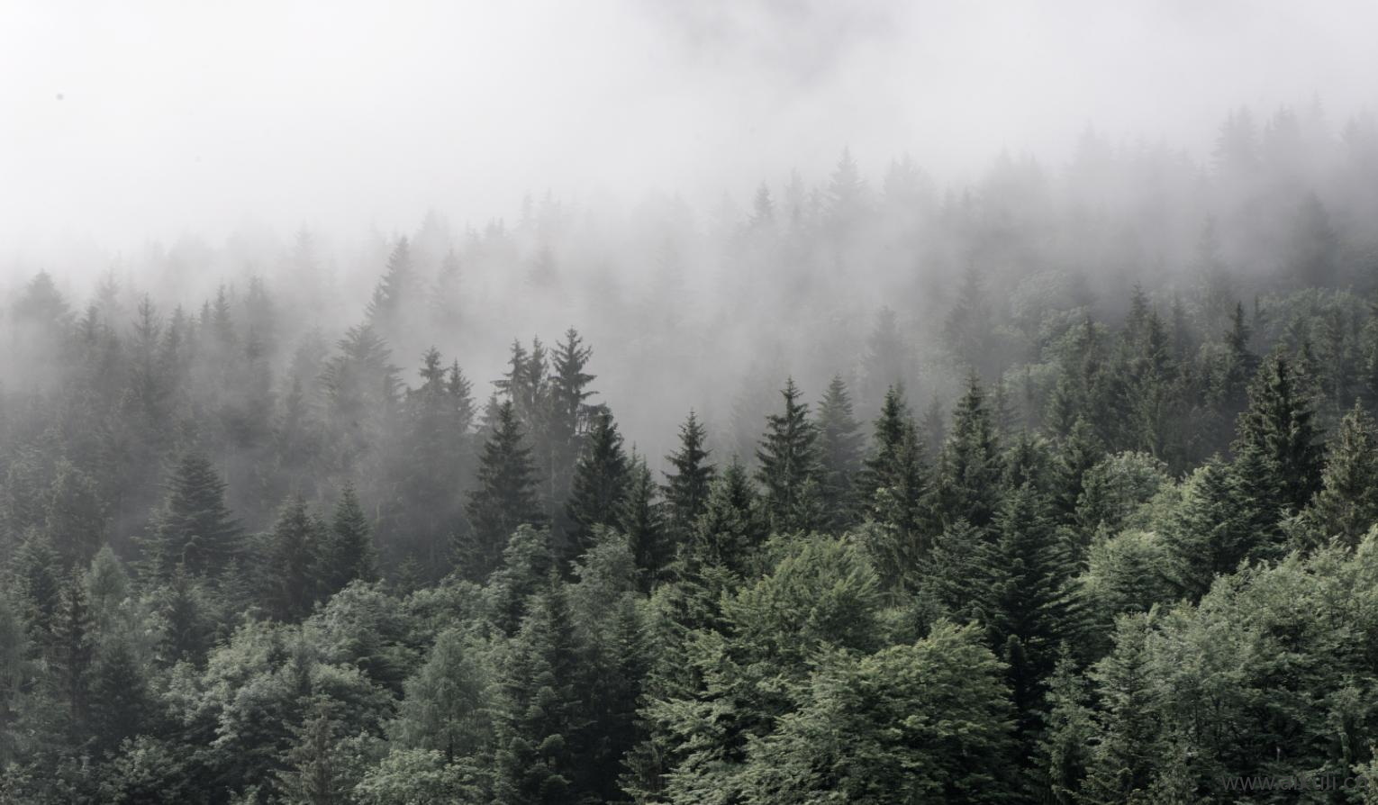 山水景观F自然风景贴图