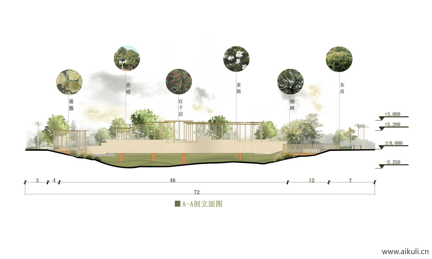 PS免抠园林公园景观植物剖面