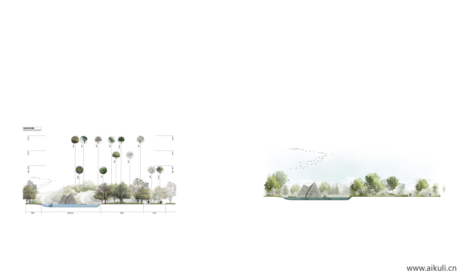 植物立面分析剖面图 PSD
