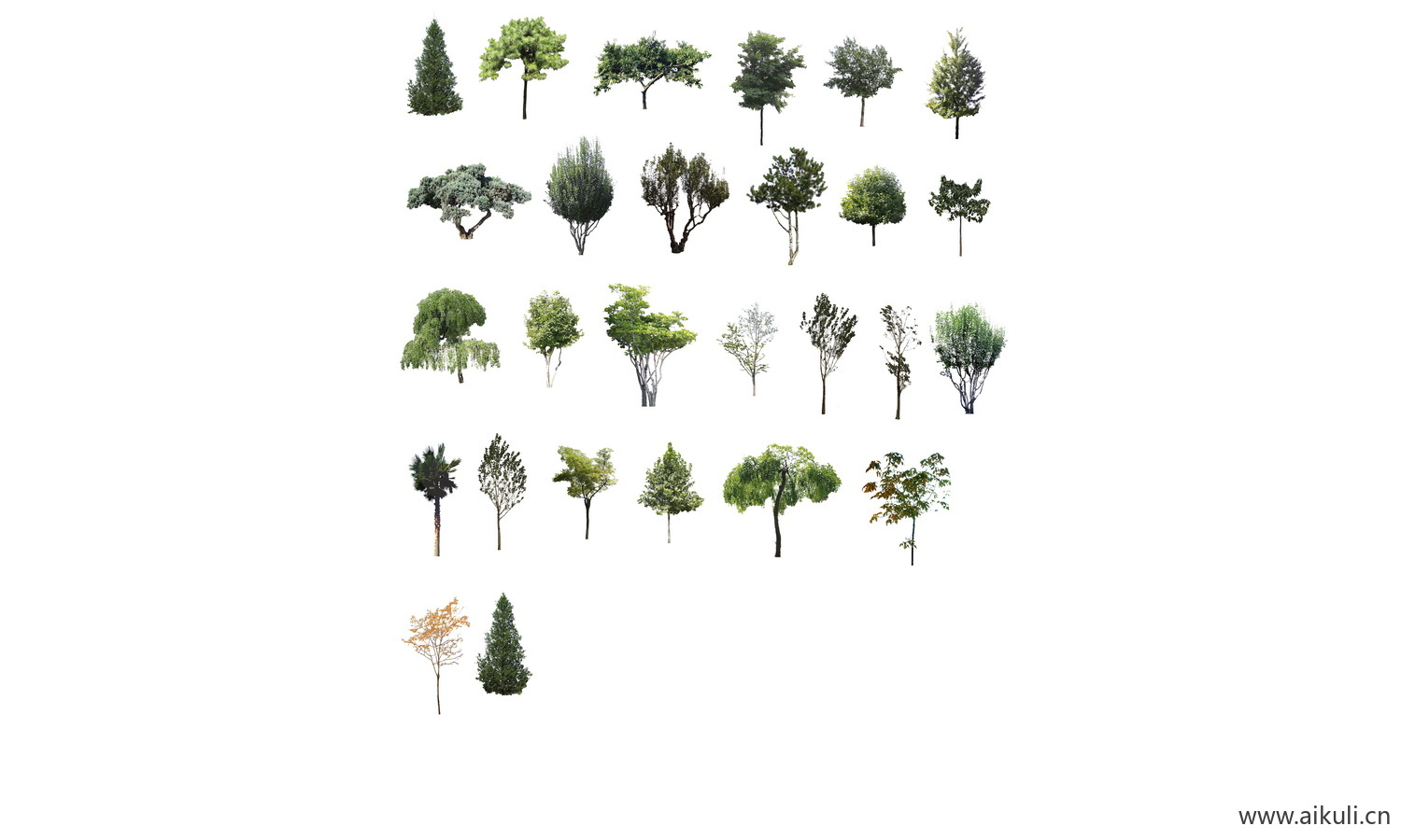 园林景观psd分层植物植物剖立面