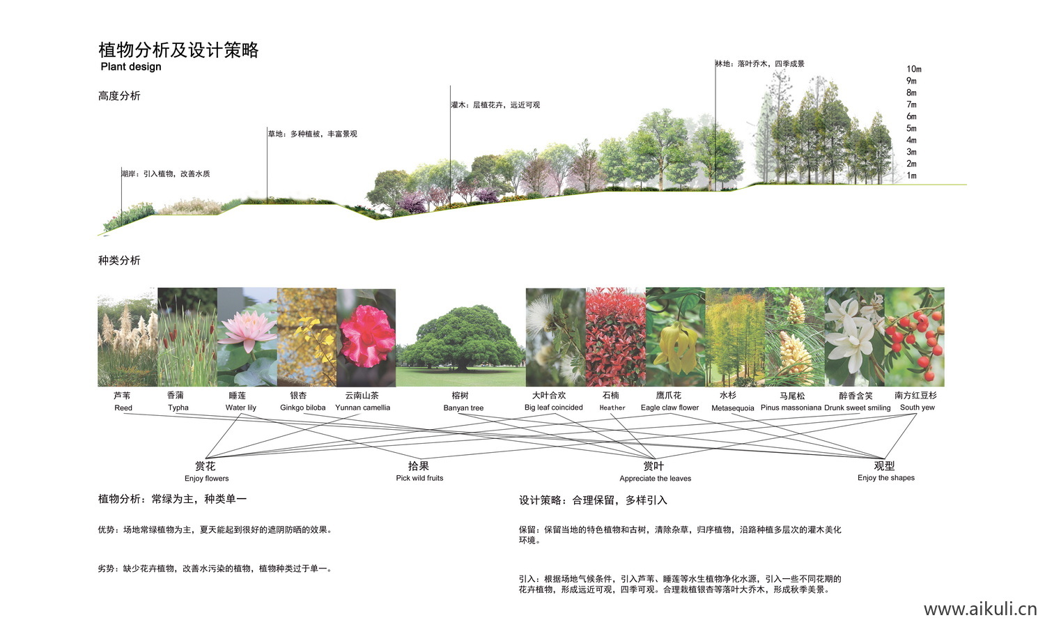 植物分析植物配植PSD素材分层