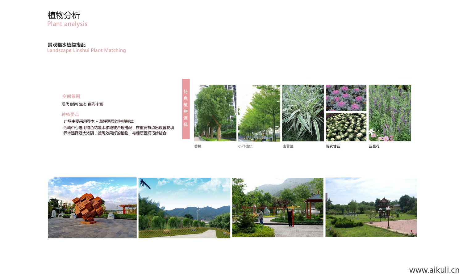 景观植物分析种植配植 PSD素材分层
