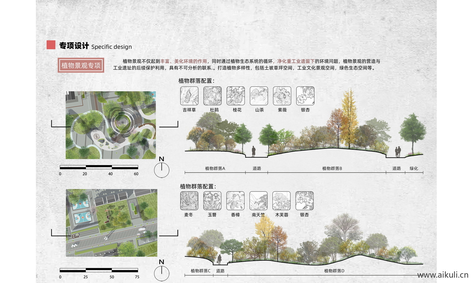 景观植物树木配置PSD分层素材