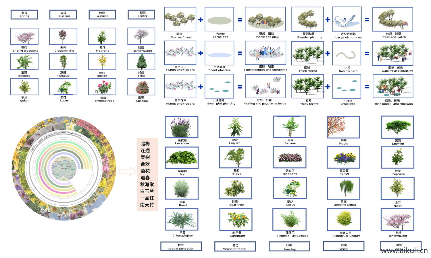 景观植物配植分析图 O PSD素材