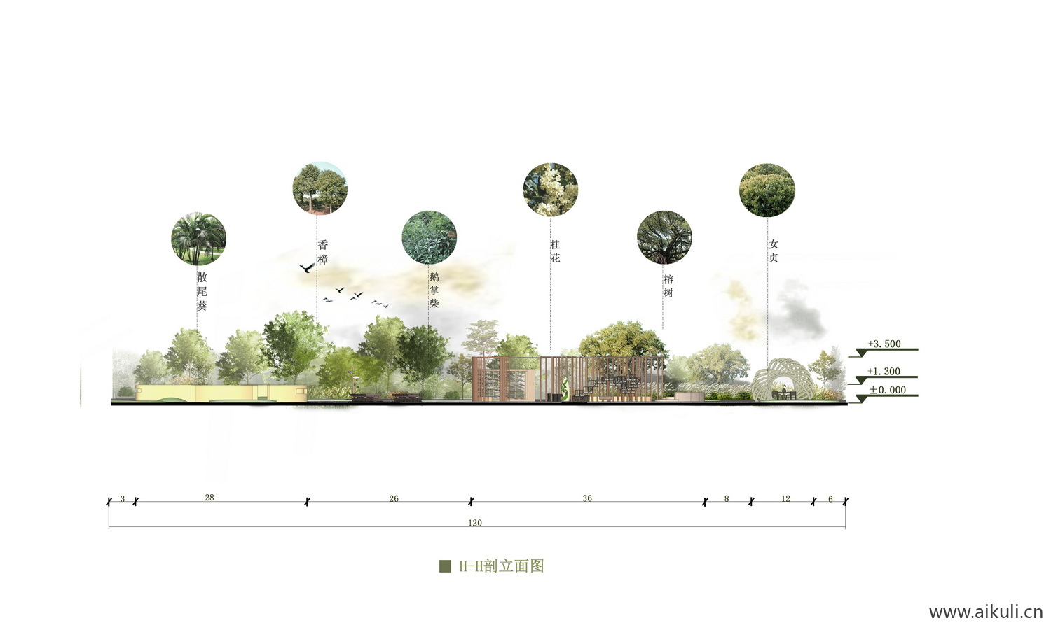 园林公园-植物剖面PSD免抠素材