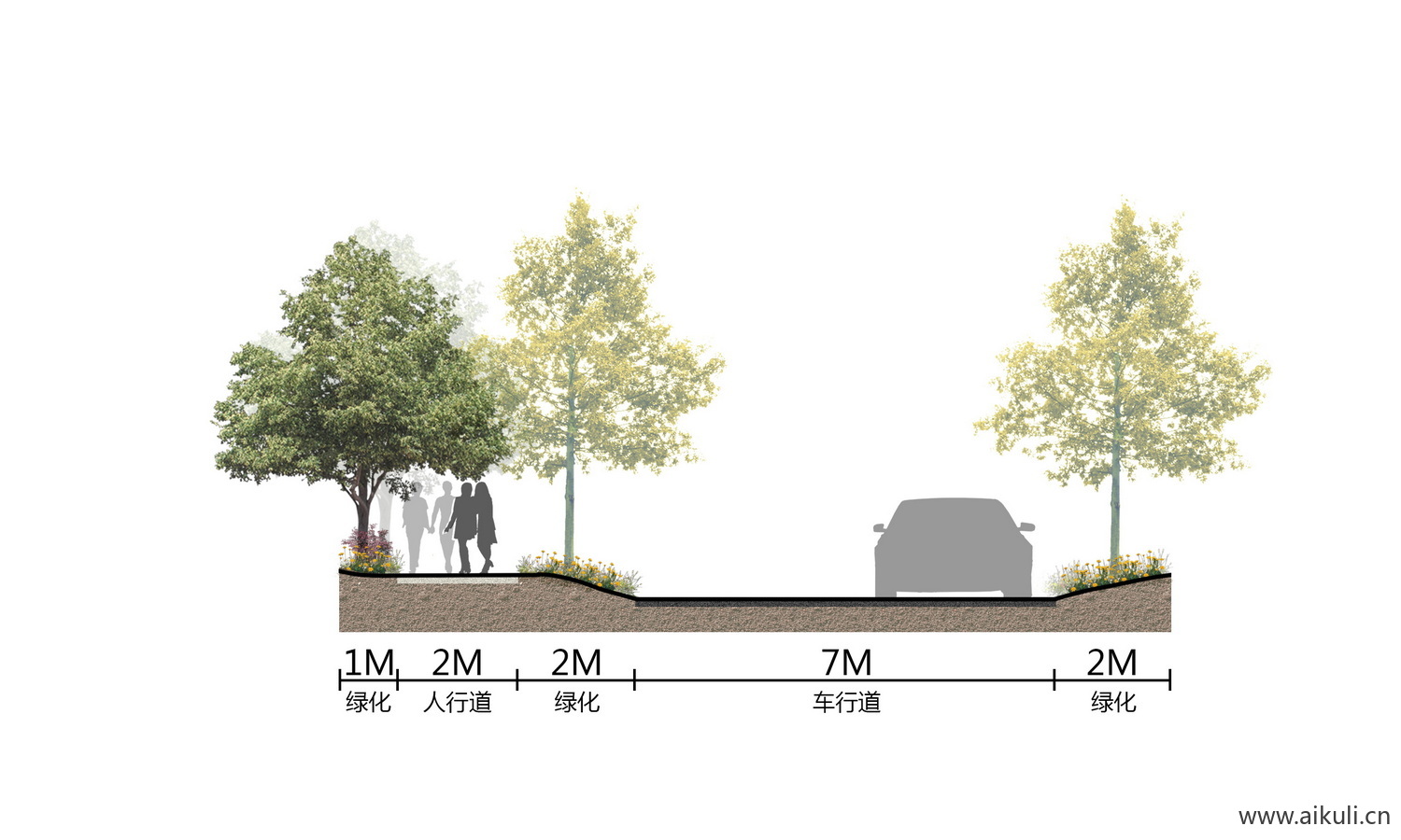 景观小清新道路剖断面植物剖立面psd