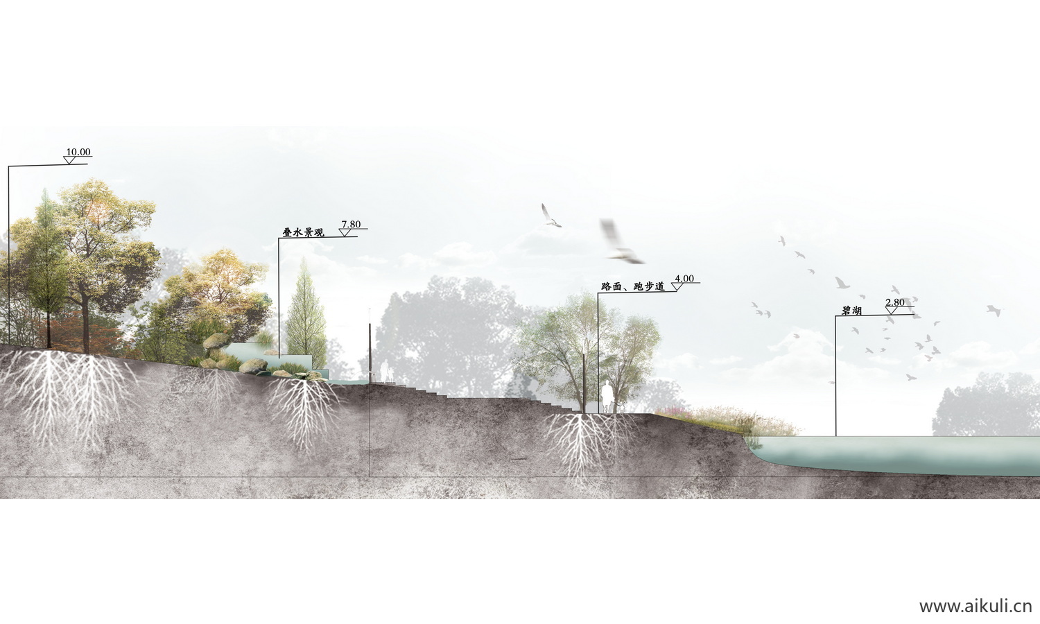湿地公园景观植物剖面PSD免抠