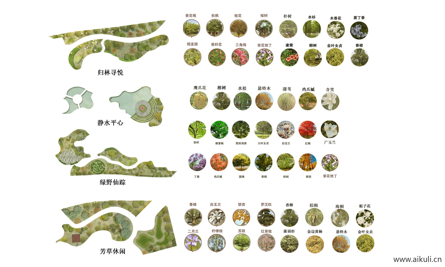 植物花草树木配置园林PSD素材