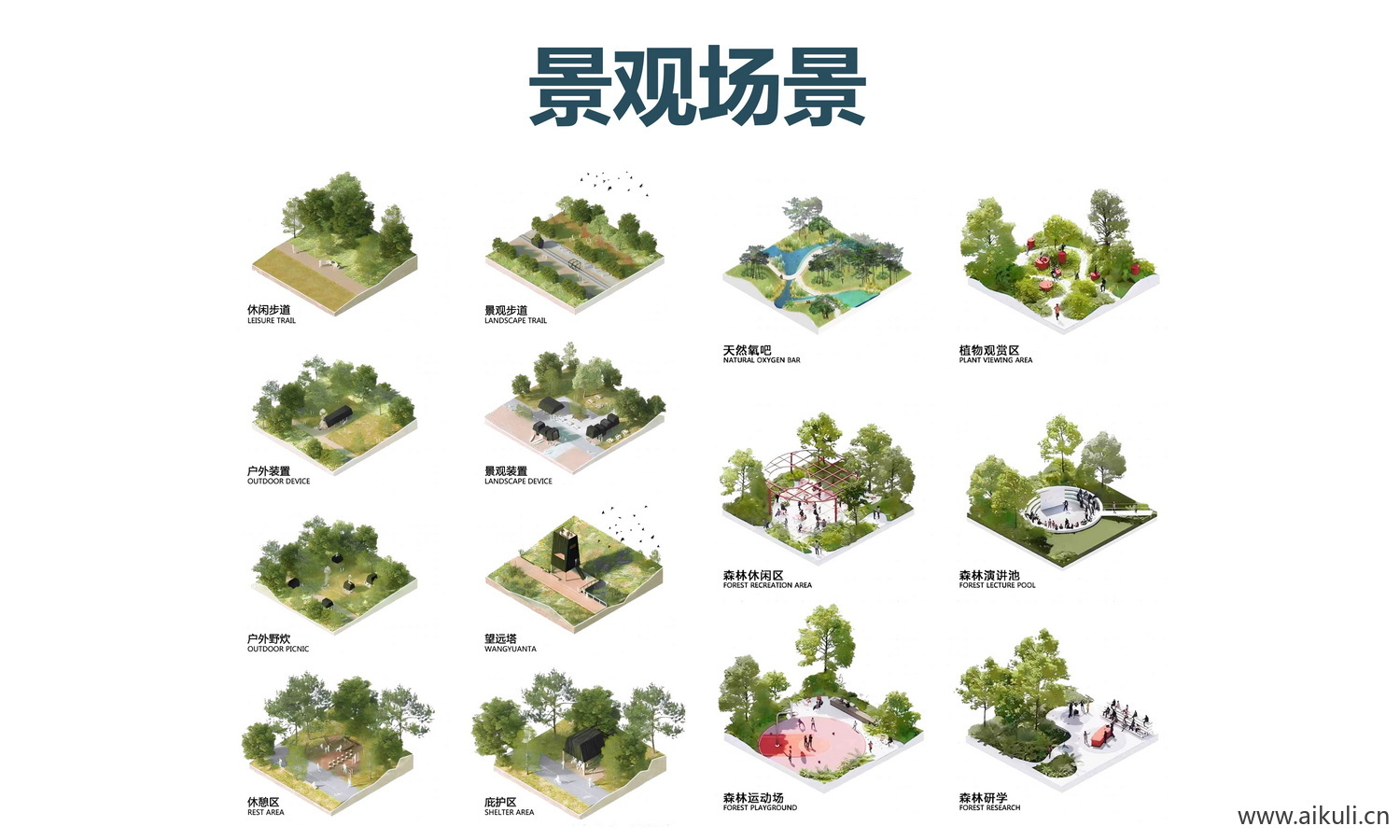 生态植物配植分析图 素材PSD分层