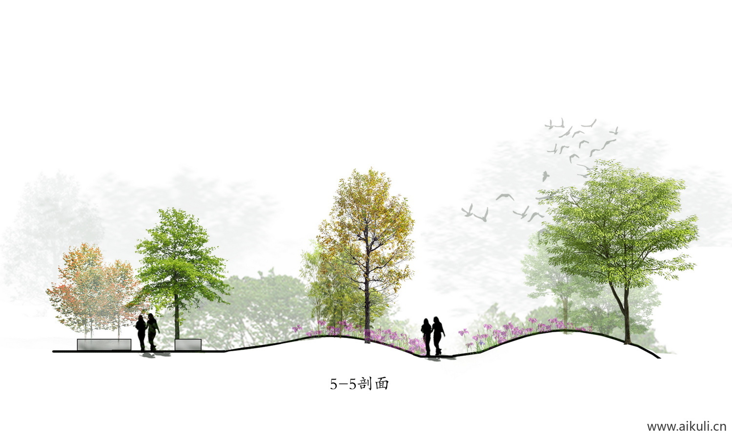 植物立面分析剖面图 景观植物剖断面剖PSD
