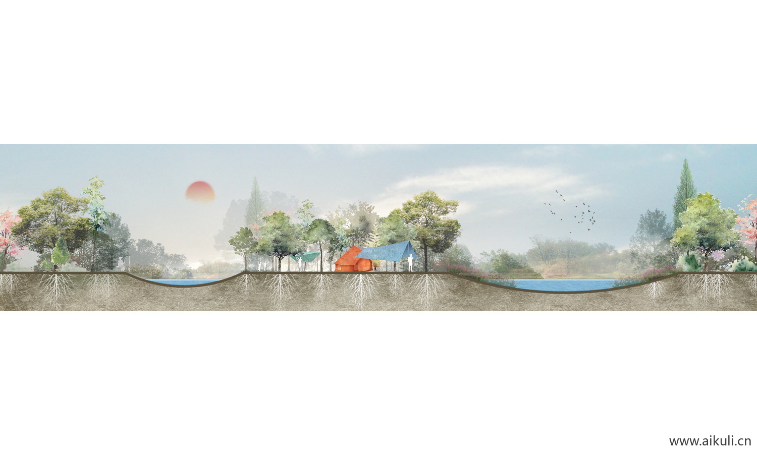 湿地公园景观植物剖面素材