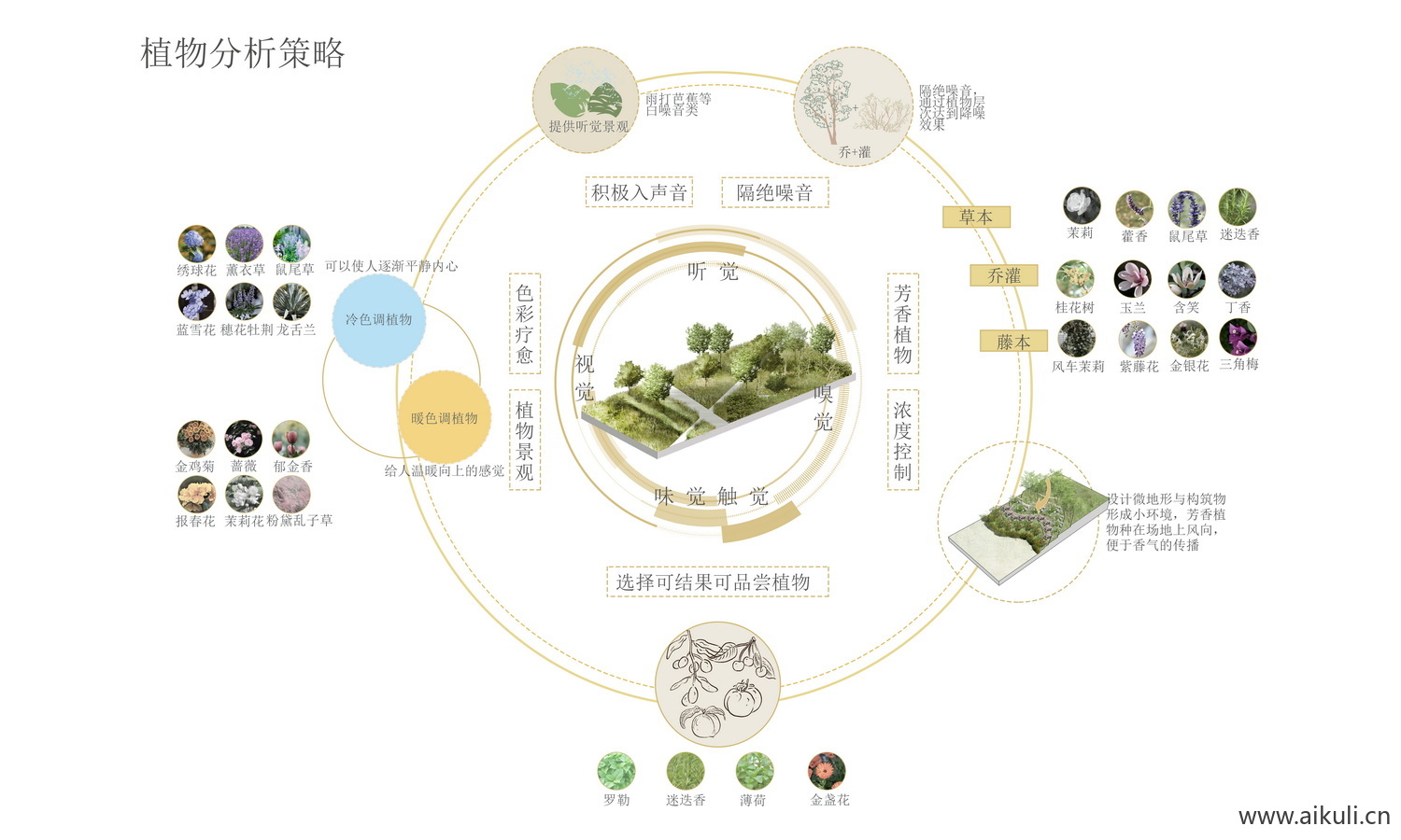 生态素材PSD分层H植物配植分析图PSD分层