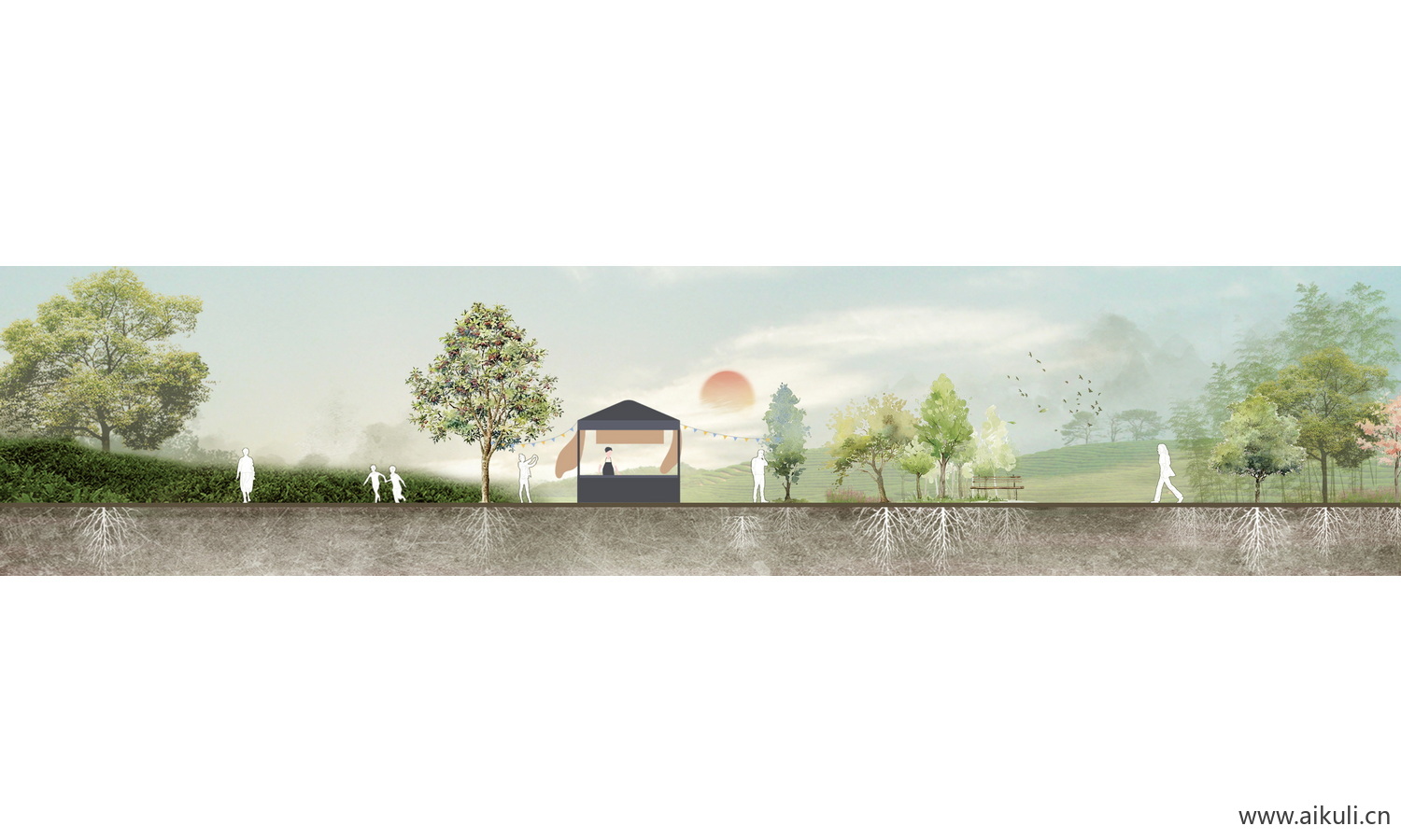 湿地公园景观PSD免抠植物剖面PS