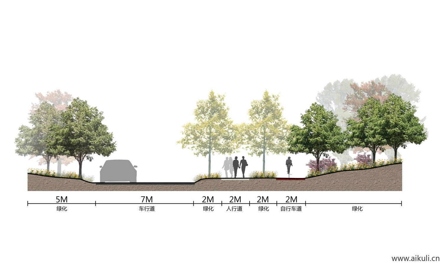 景观小清新道路剖断面植物剖立面psd素材