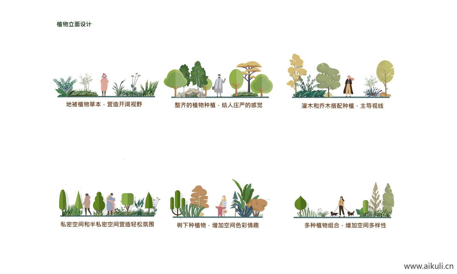 植物立面空间分析 PSD素材