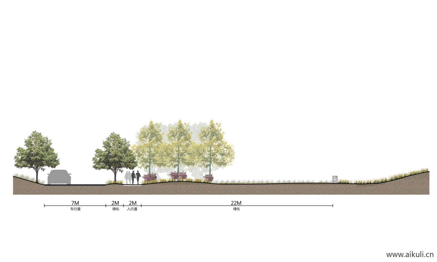 景观小清新道路剖断面植物剖立面ps素材