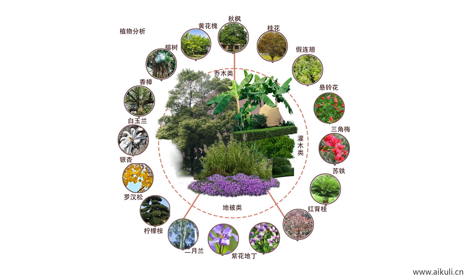 生态植物配植分析图PSD分层