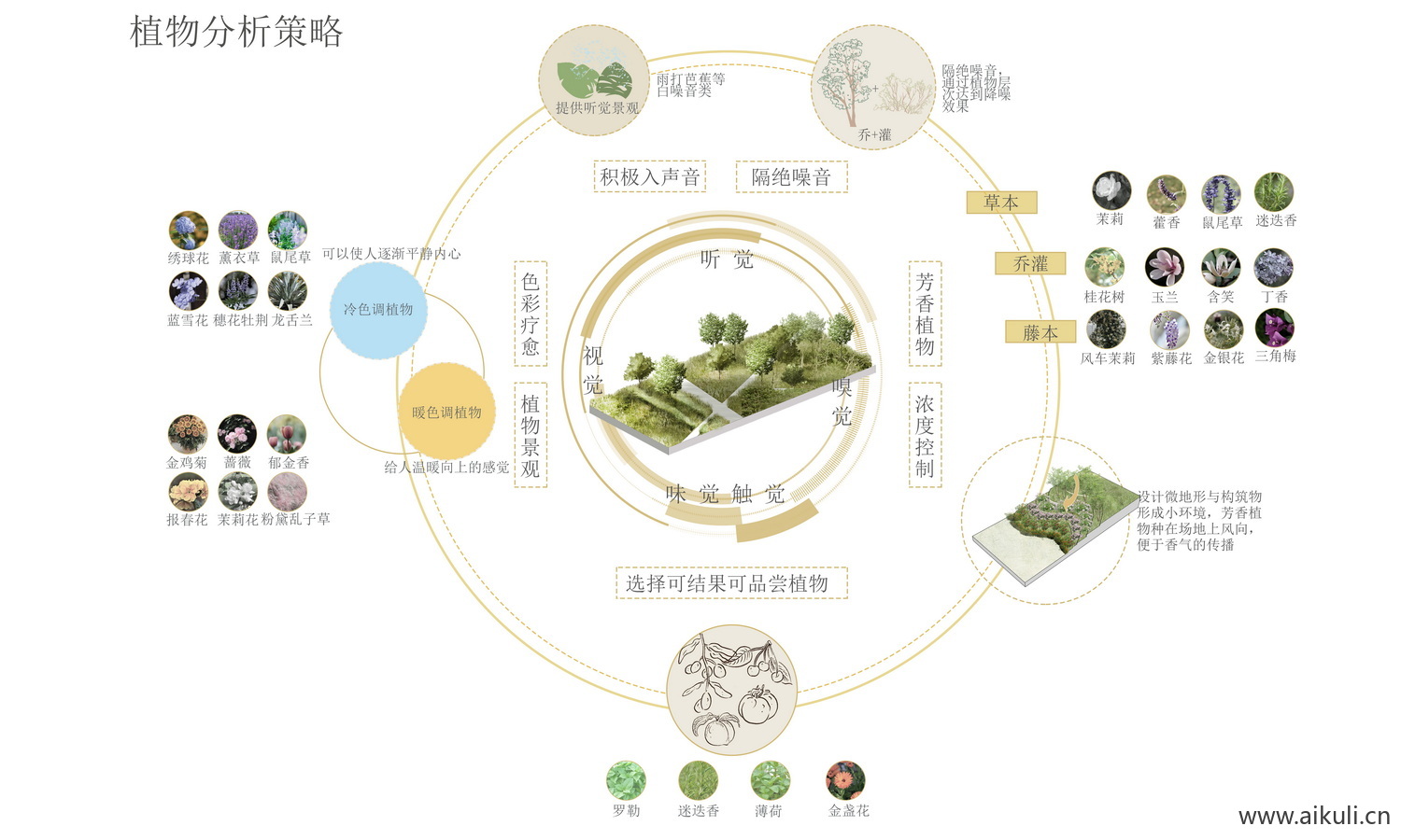 PSD分层E园林景观植物花草树木I配置素材