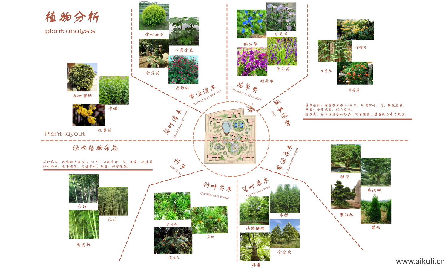PSD素材 景观植物分析图