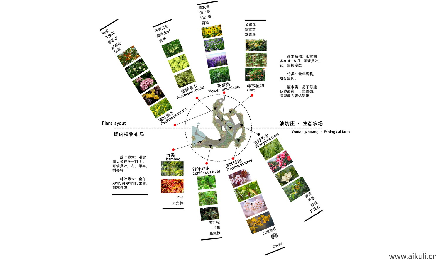 植物分析PSD素材分层