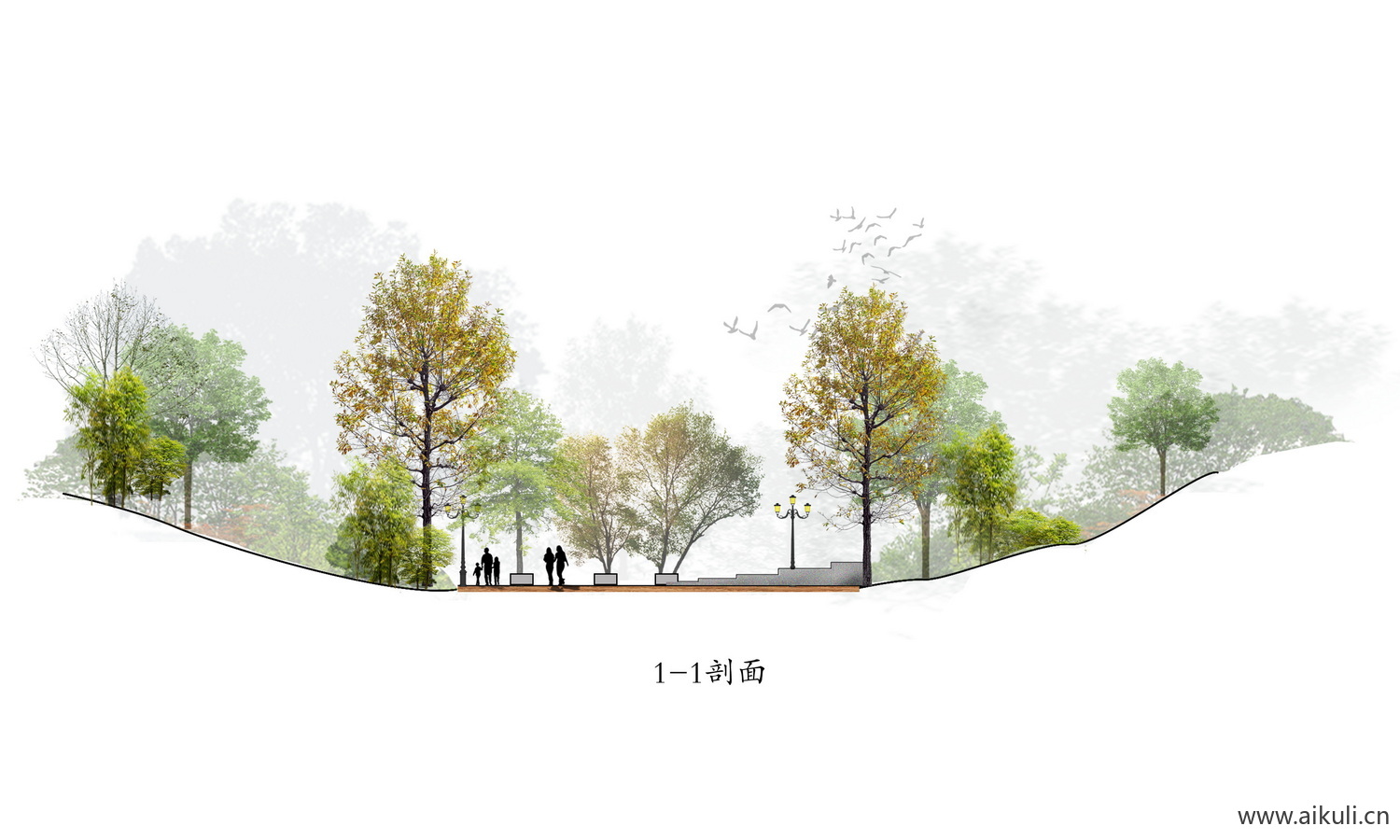 植物立面分析剖面图小清新道路景观植物剖断面剖PSD