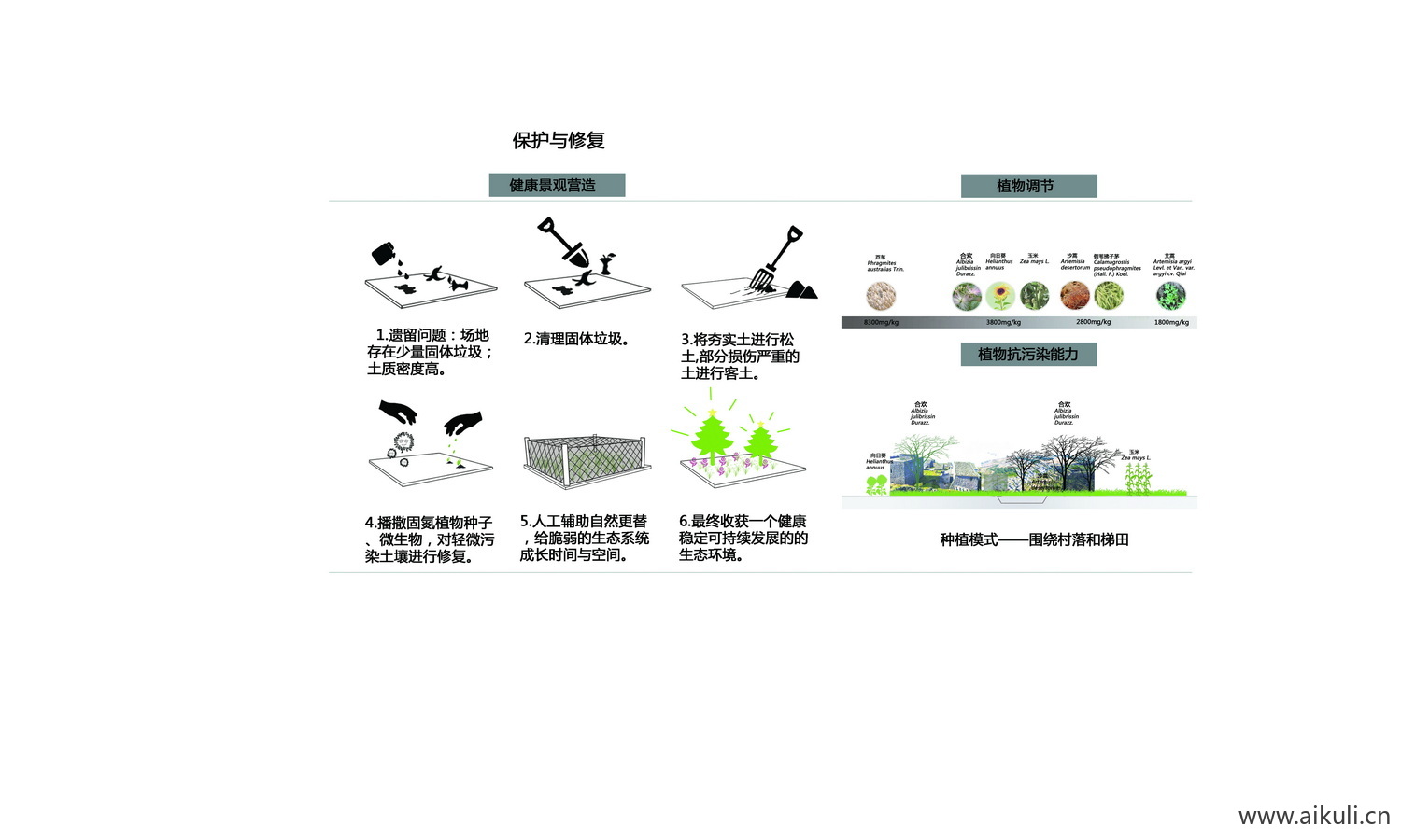 景观植物分析配植 PSD素材分层土壤修复