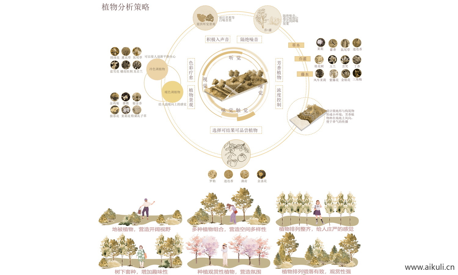 植物花草树木配置景观PS素材