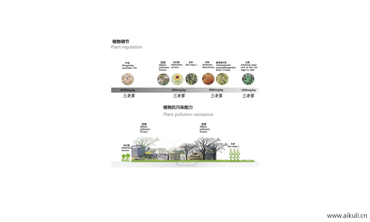 园林景观植物花草树木配置PSD分层
