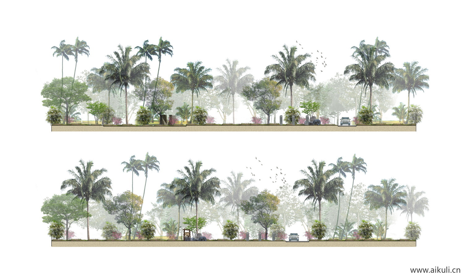 36公园建筑景观热带植物剖立面